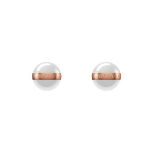 Daniel Wellington Aspiration Earrings Rose Gold | RT6053429