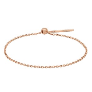 Daniel Wellington Charms Chain RG Bracelets Rose Gold | PR6571280