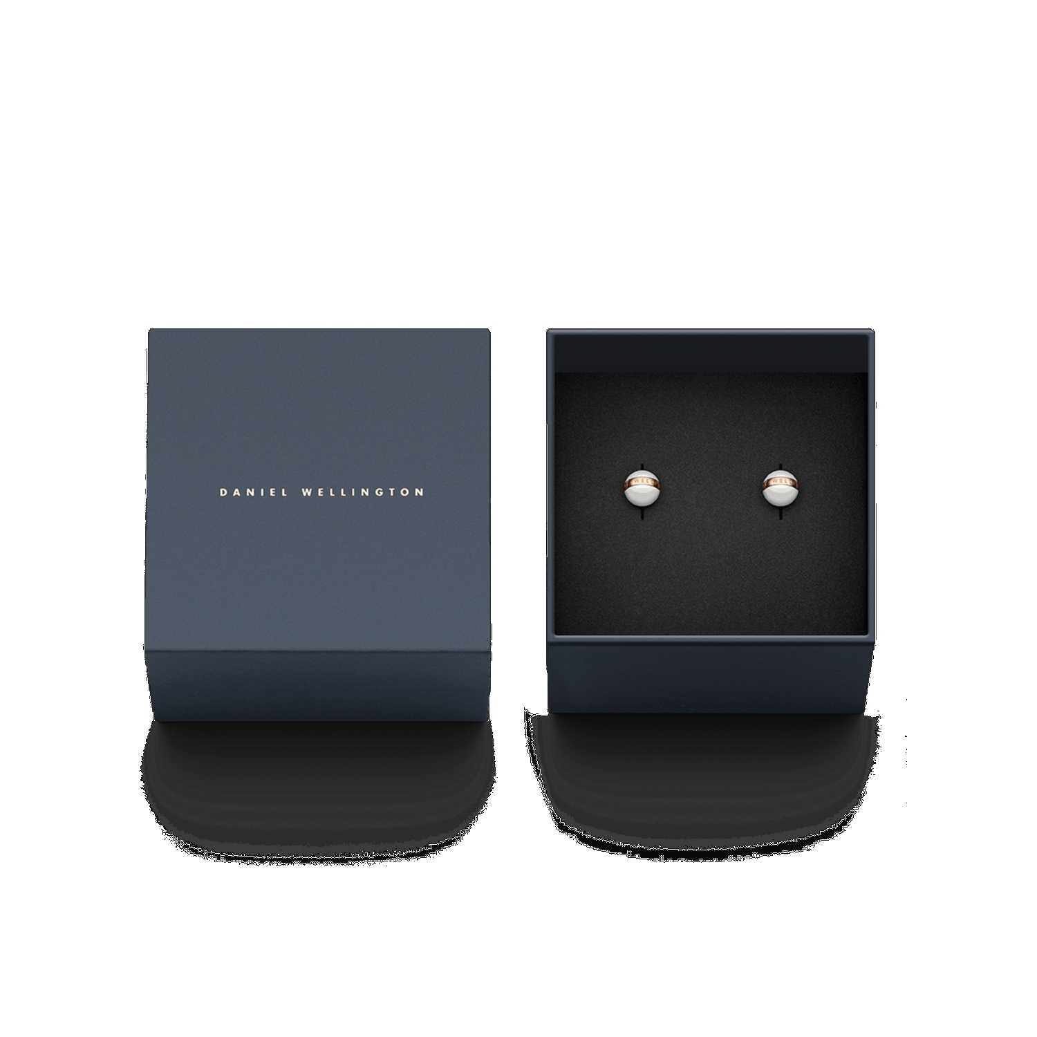 Daniel Wellington Aspiration Earrings Rose Gold | RT6053429