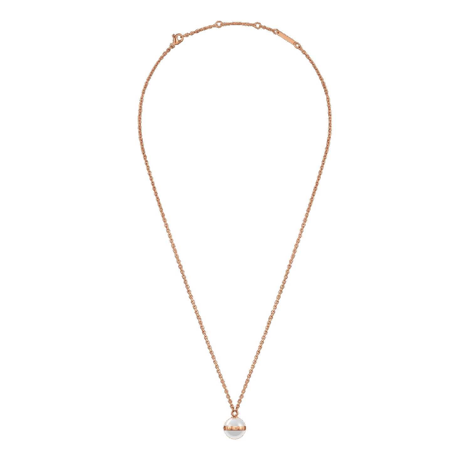 Daniel Wellington Aspiration Necklaces Rose Gold | BV0984362