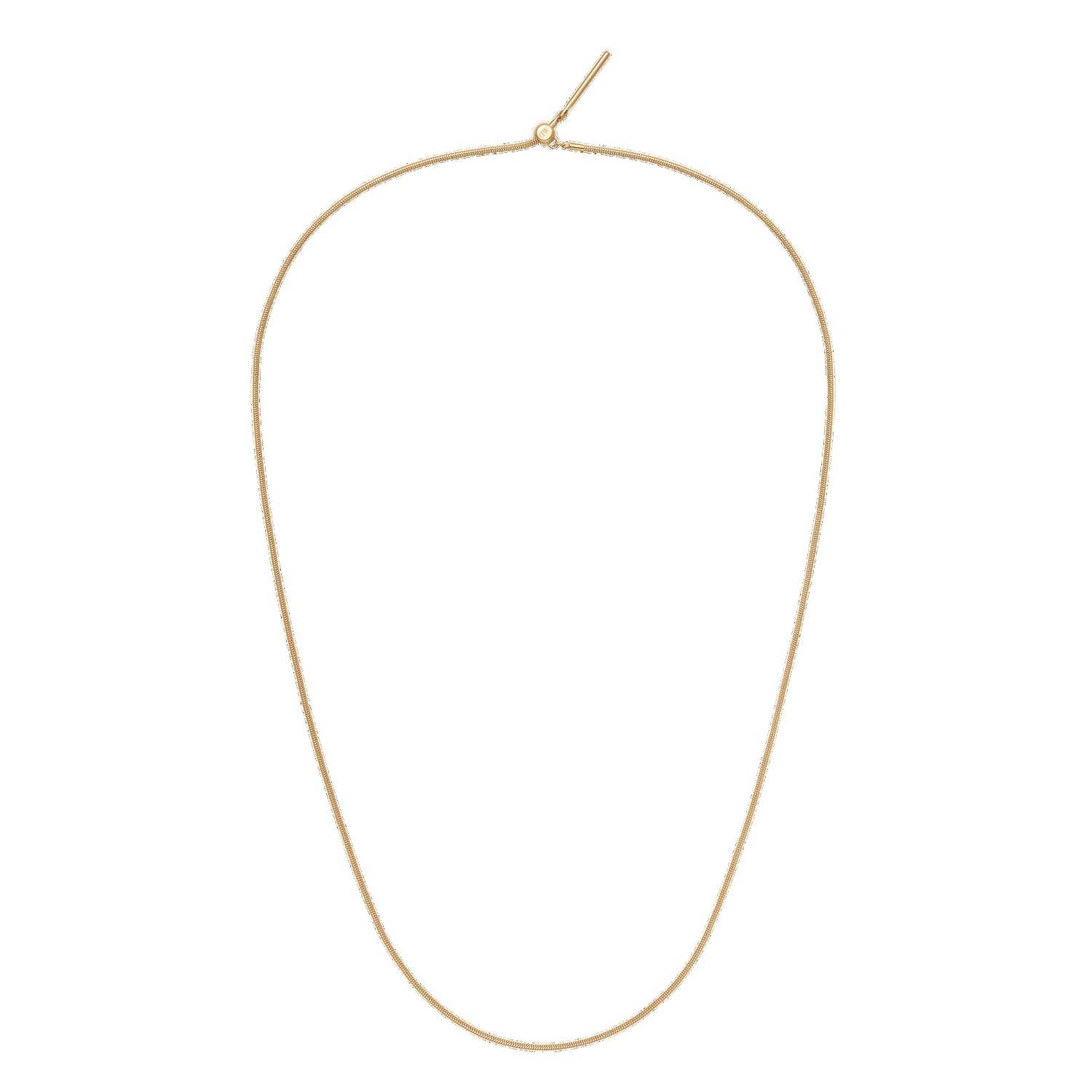 Daniel Wellington Charms Snake G Necklaces Gold | LC7591420