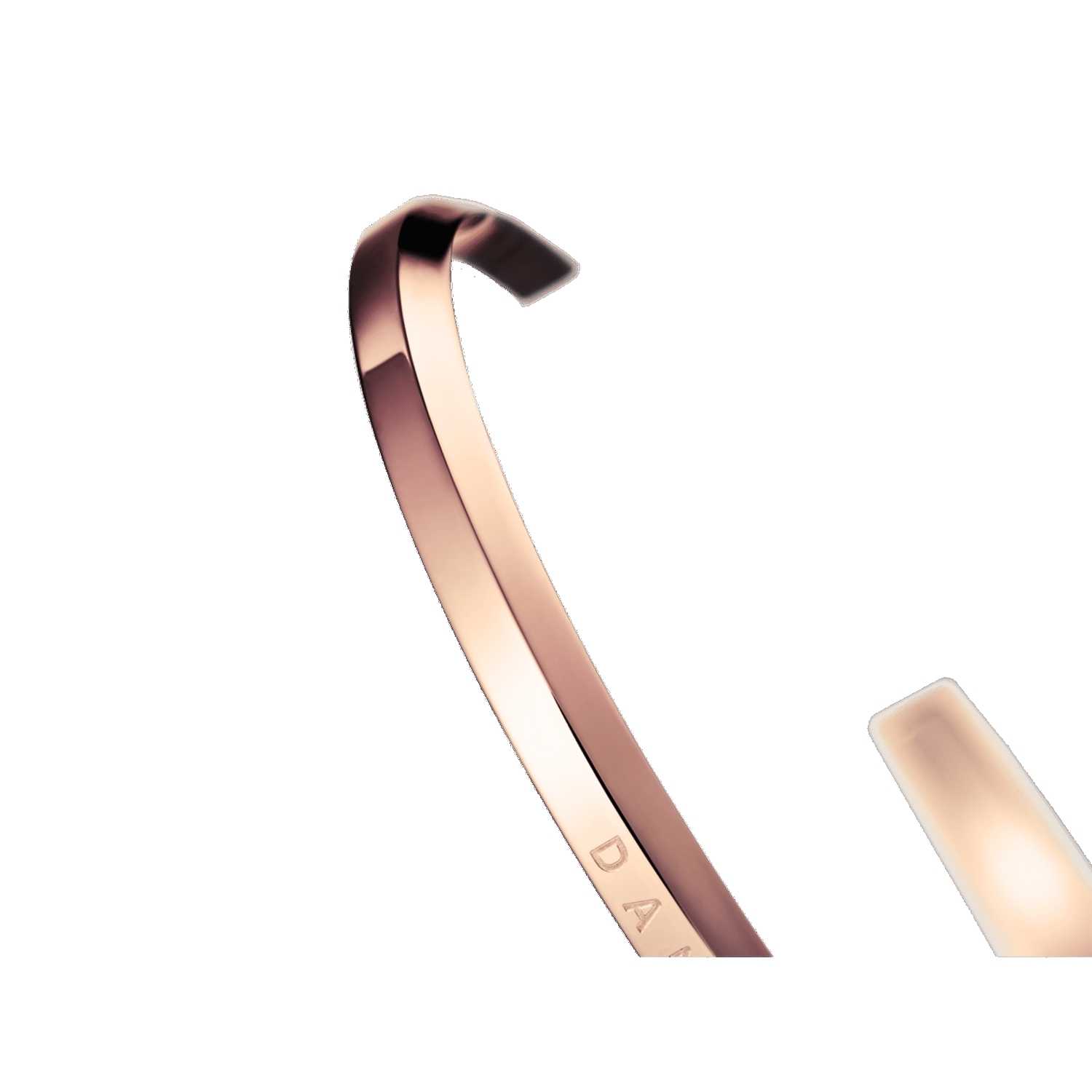 Daniel Wellington Classic Bracelets Rose Gold | SE5701386