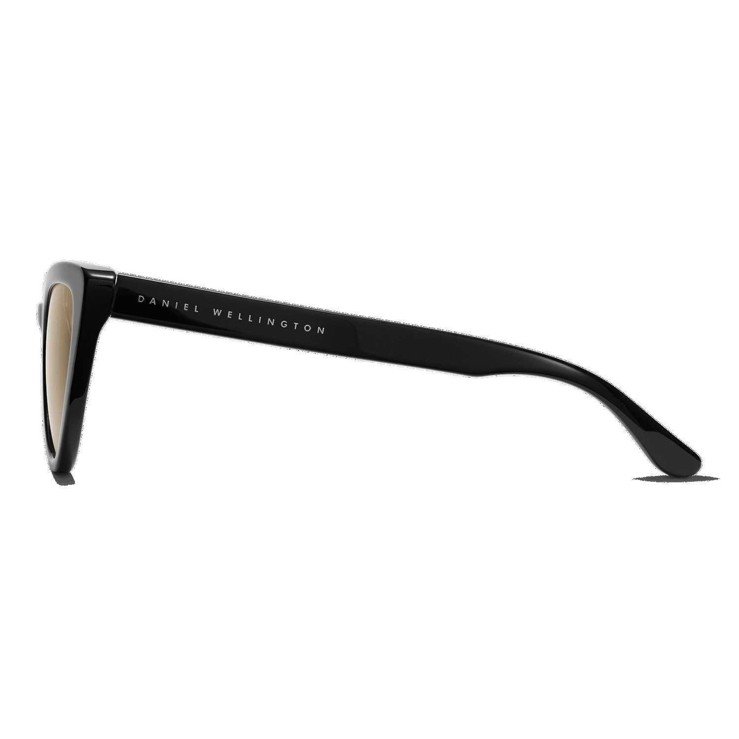 Daniel Wellington Lynx Bio-Acetate Sunglasses Black | GV7451063