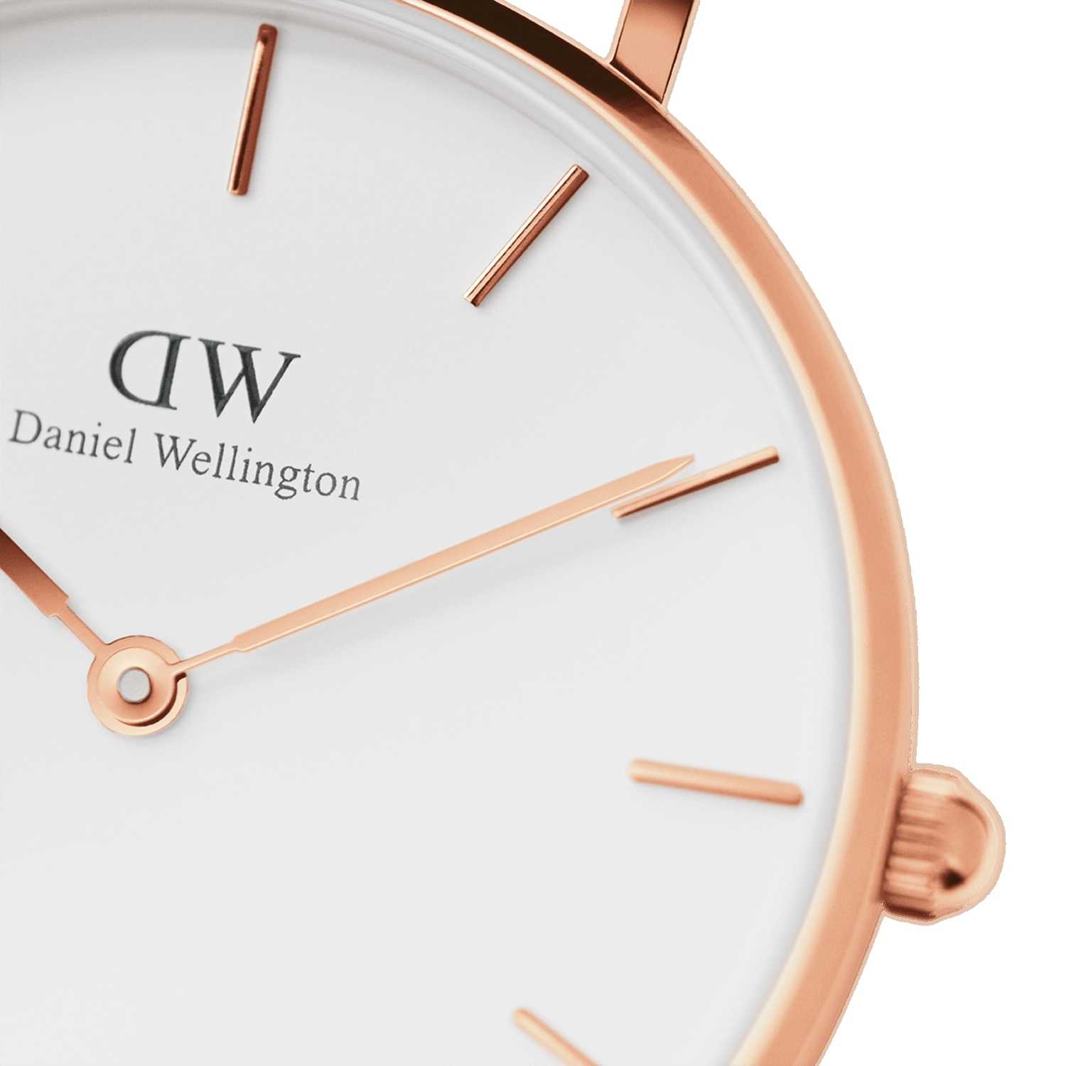 Daniel Wellington Petite Bondi Women Watches Rose Gold | OF2573168