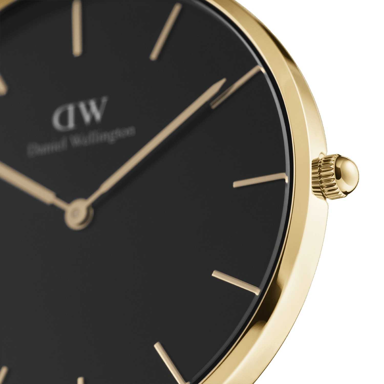 Daniel Wellington Petite Evergold Women Watches Gold | MB7639802